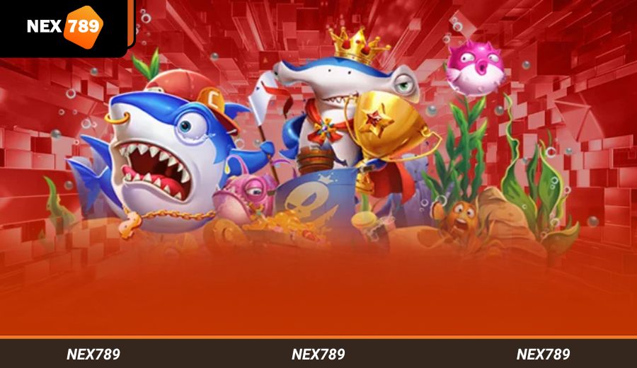 ประสบการณ์การเดิมพัน NEX789 เลือกเจ้ามือรับพนันที่เหมาะสม